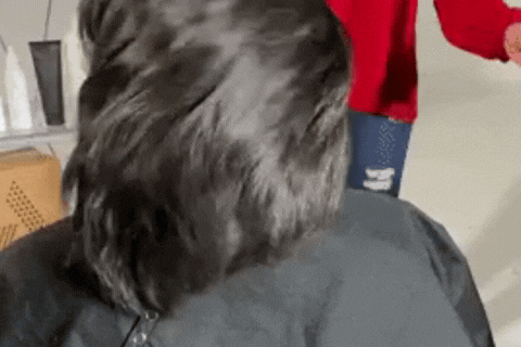 gif1 (1)