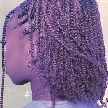 Top 10 peinados Twists para cabello afro