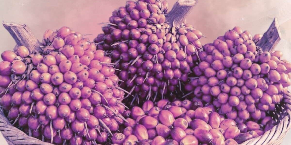 El aceite de batana para el crecimiento: los 10 mejores consejos