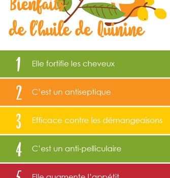 5 BENEFICIOS DEL ACEITE DE QUINA