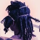Cómo hacer dreadlocks: los métodos, paso a paso